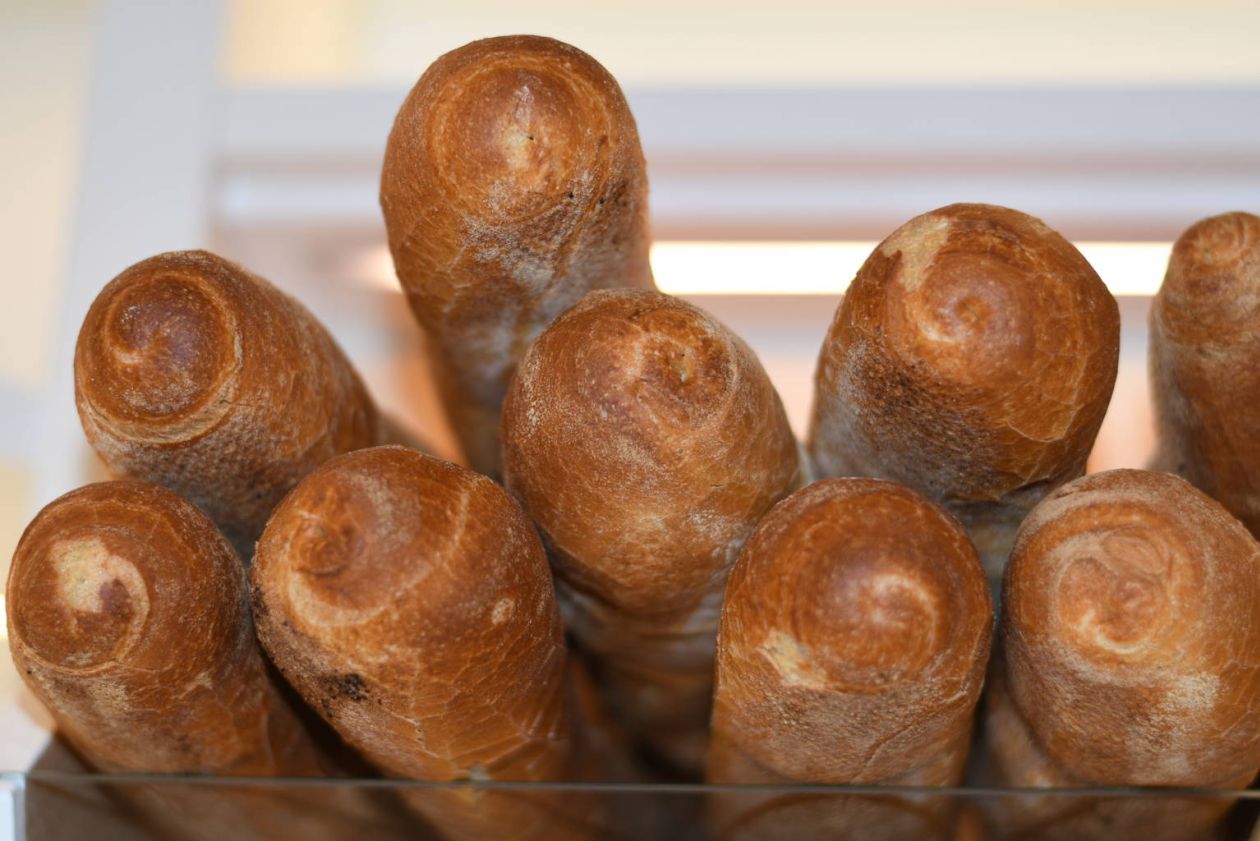 Filoni di pane